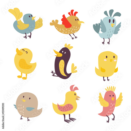 Cute birds vector set illustration cartoon colorful