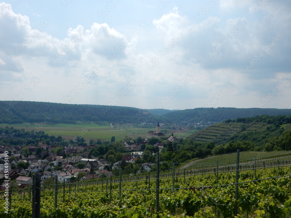 Fototapeta premium Weinberge bei Gundelsheim