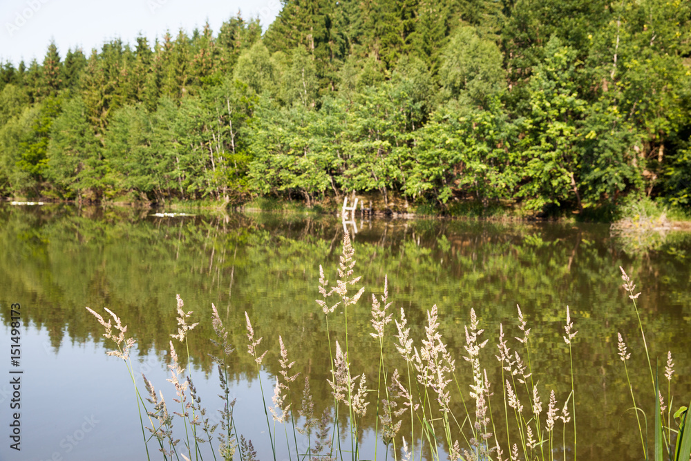 Ellernteich im Harz bei Güntersberge, Ellernteich im Harz bei Güntersberge,