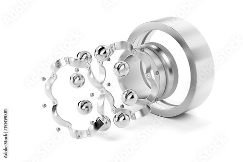 Disassembled ball bearing