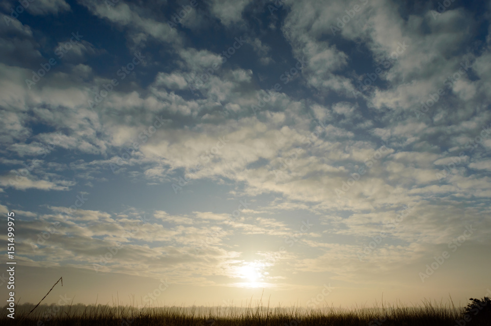 Fototapeta premium Sun breaking trough clouds coloring the sky and wild grass with low fog on a cold morning
