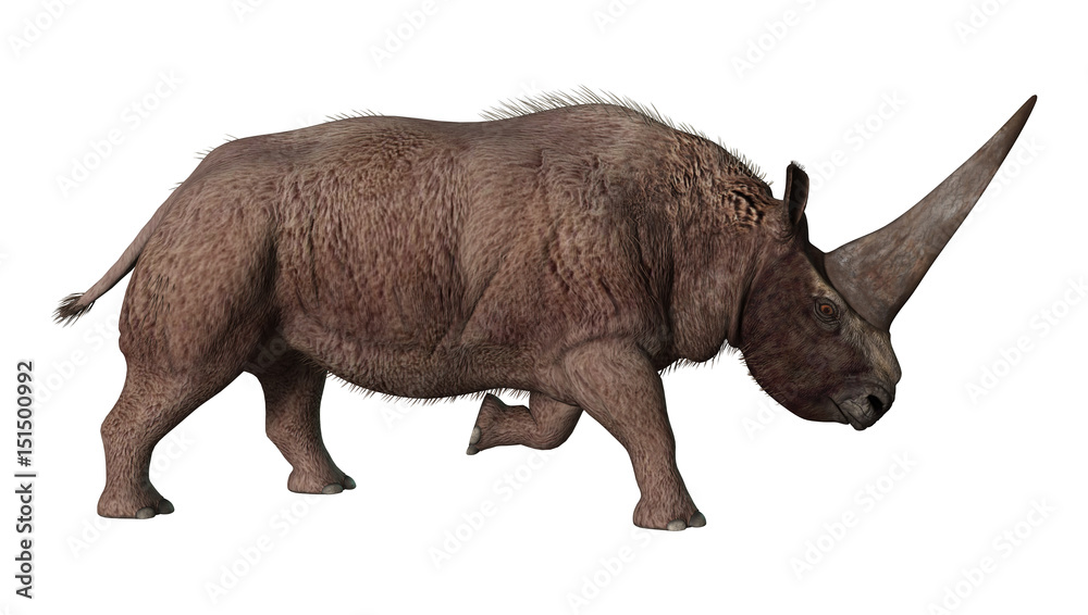 Fototapeta premium 3D Rendering Elasmotherium on White