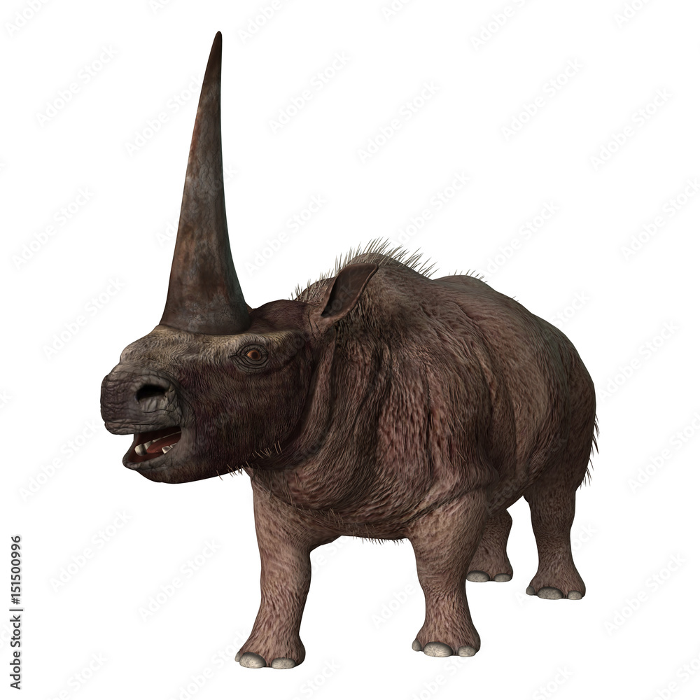 Fototapeta premium 3D Rendering Elasmotherium on White