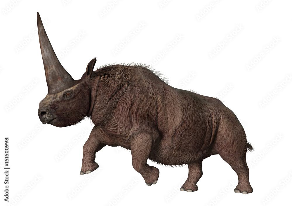Obraz premium 3D renderowania Elasmotherium na białym tle