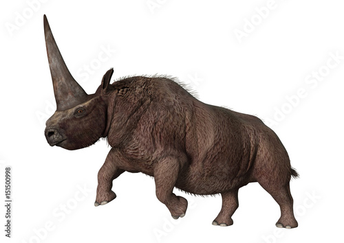 3D Rendering Elasmotherium on White © photosvac
