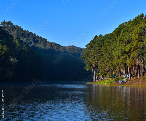 Pine forest and blue sky with reflection in the lake