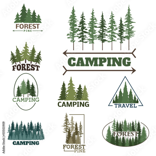 Tree outdoor travel green silhouette forest badge coniferous natural logo badge tops pine spruce vector.