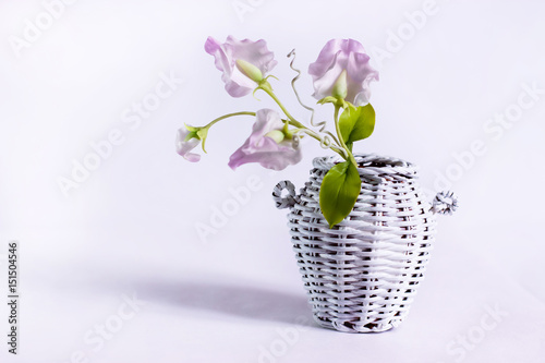 Fototapeta Naklejka Na Ścianę i Meble -  white wicker jug with a flower made of cold pottery