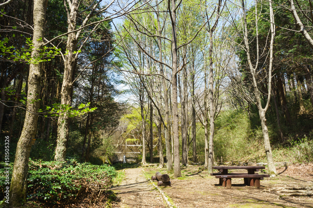 せせらぎの径　/　Green area Promenade