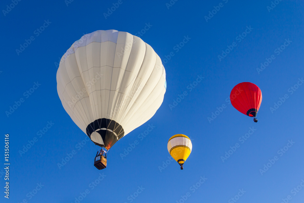 Fototapeta premium Hot air balloon