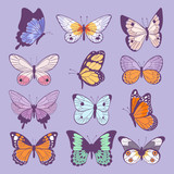 Colorful different summer colorfullbutterfly wings vector top view illustration isolated on background.