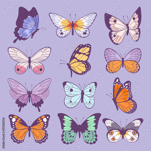 Colorful different summer colorfullbutterfly wings vector top view illustration isolated on background. © partyvector