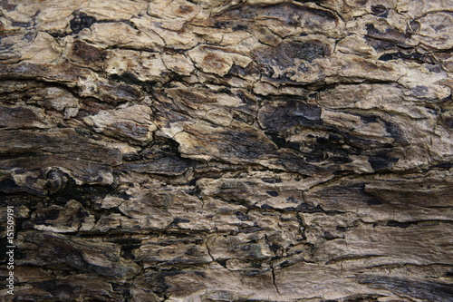 texture from stone
