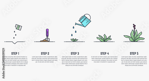 Growing plant stages. Seeds, watering can, sprout and grown plant. House plant in flowerpot. Line style flat illustration of house plant with leaves in pot. Thin lines. Grow process.