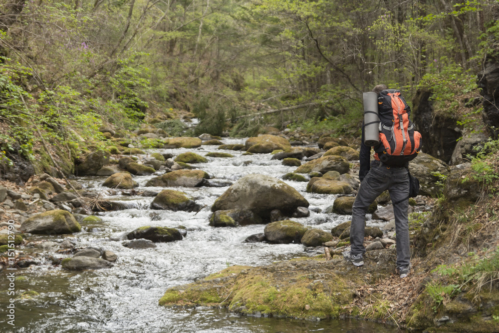 A traveler with a backpack and rug stands with his back to the viewer at a mountain river stream flowing among the stones in forest