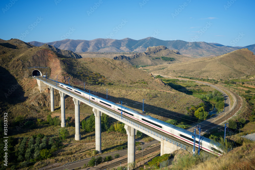 Naklejka premium Speed Train