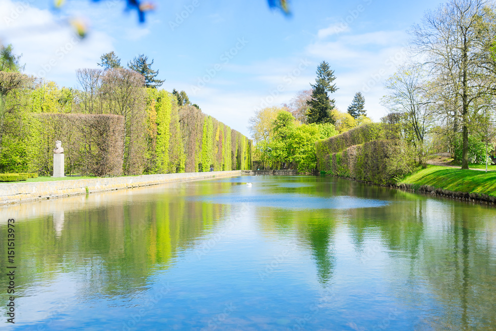Fototapeta premium Pond and green trees in Park Oliwski, Gdansk
