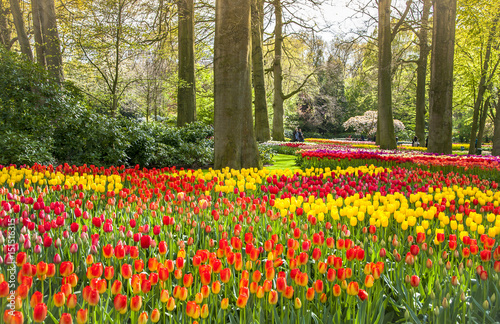 Keukemhof Romantic Blooming Gardens Landscape Lisse Holland