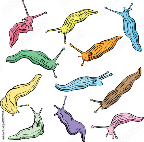 Collection of Coloured Line Art Slug Illustration Vector