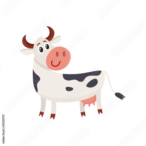 Funny black white spotted cow standing and looking back, cartoon vector illustration isolated on white background. Funny cow character with head turned back, dairy, farm concept