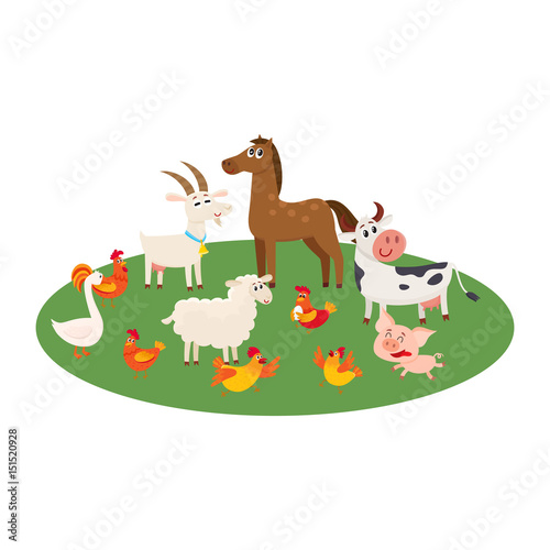 Farm animals - cow, sheep, horse, pig, goat, rooster, hen, goose- grazing in the pasture, cartoon vector illustration isolated on white background, Cute and funny farm animals grazing on green lawn