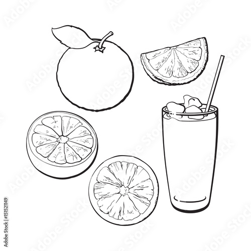 Set of whole, half, quarter grapefruit and glass of fresh juice with ice, black and white sketch style vector illustration on white background. Hand drawn whole and cut grapefruit and glass of juice