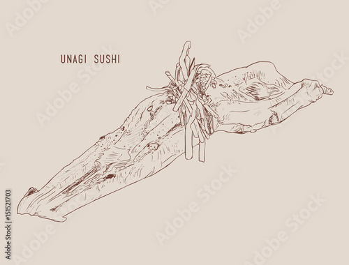 Vector illustration of hand drawn sushi with smoked eel.