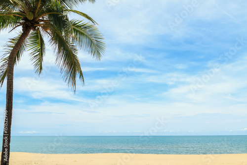Coconut palm tree and sky on tropical beach