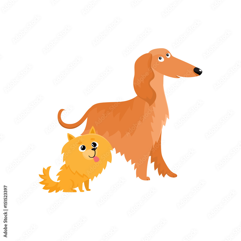 Couple of cute, funny dog characters - Afghan hound and Pomeranian ...