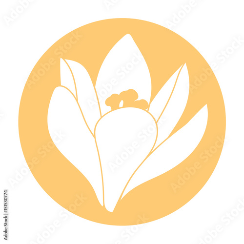 Spring flower icon. White crocus flower. Crocus, Saffron, herbs. Orange round circle flat icon. Vector illustration