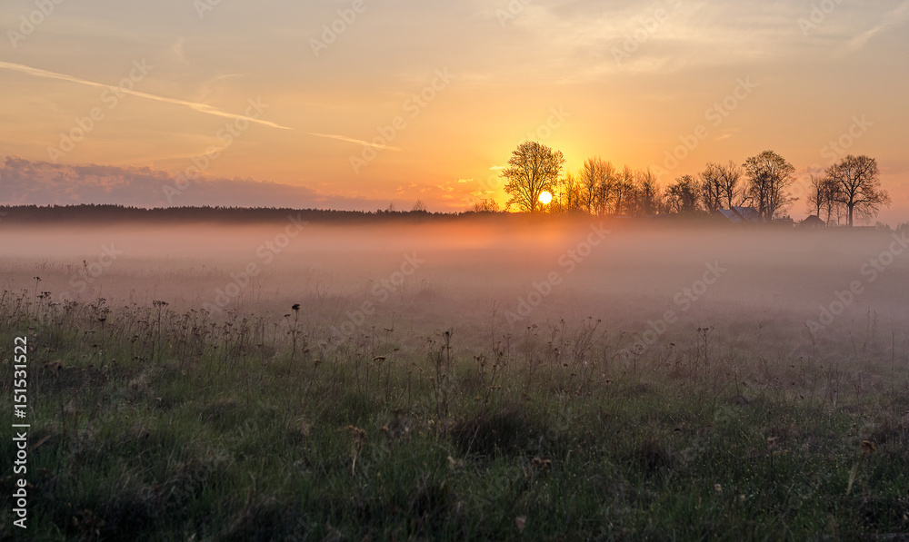 Fototapeta premium fog