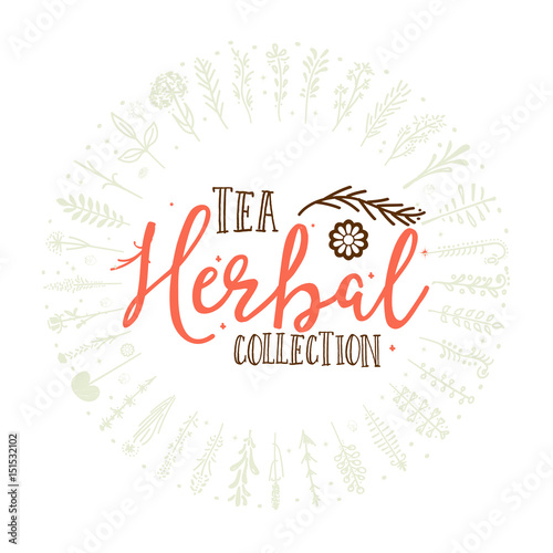 Herbal tea collection badge design . Sticker  stamp  - handmade. With the use of typography elements  calligraphy and lettering