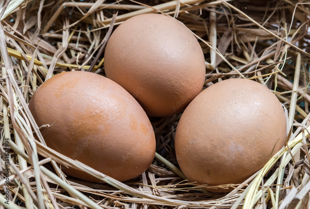 Eggs on straw