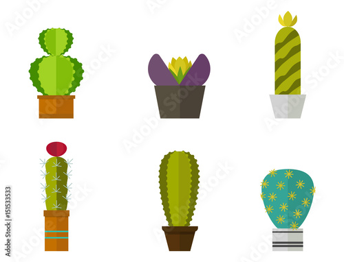 Cactus nature desert flower green mexican succulent tropical plant cacti floral vector illustration.