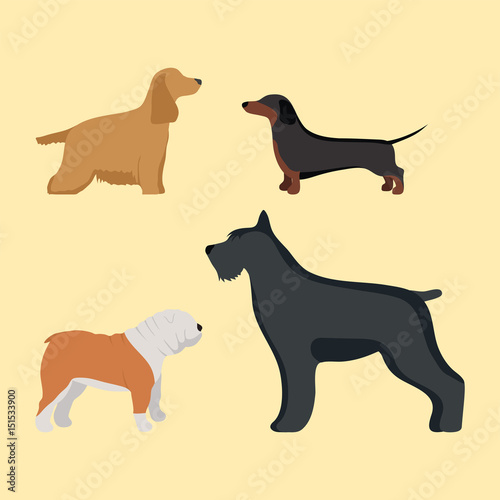 Funny cartoon dog character bread in cartoon style vector illustration.