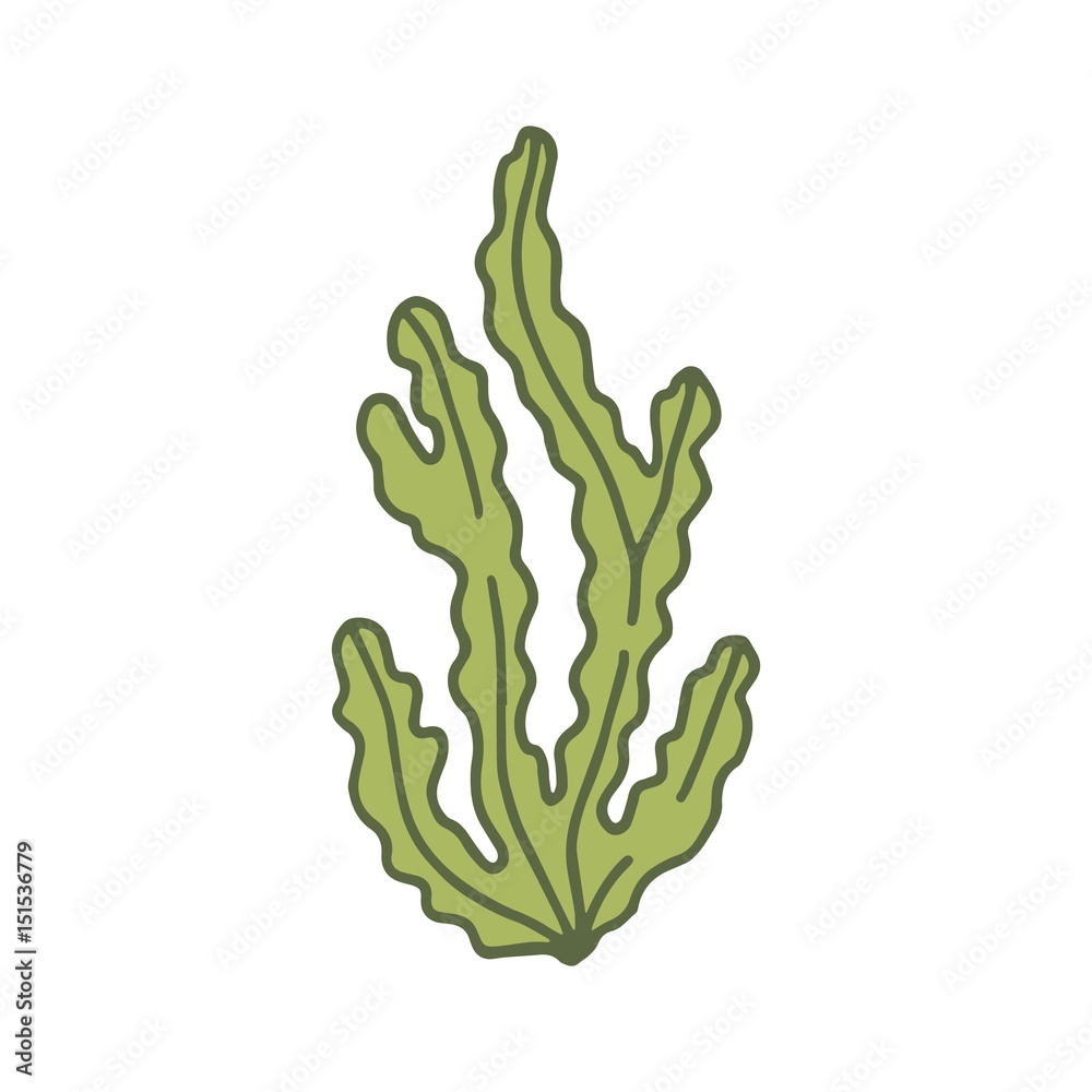 Alga marine green vector illustration