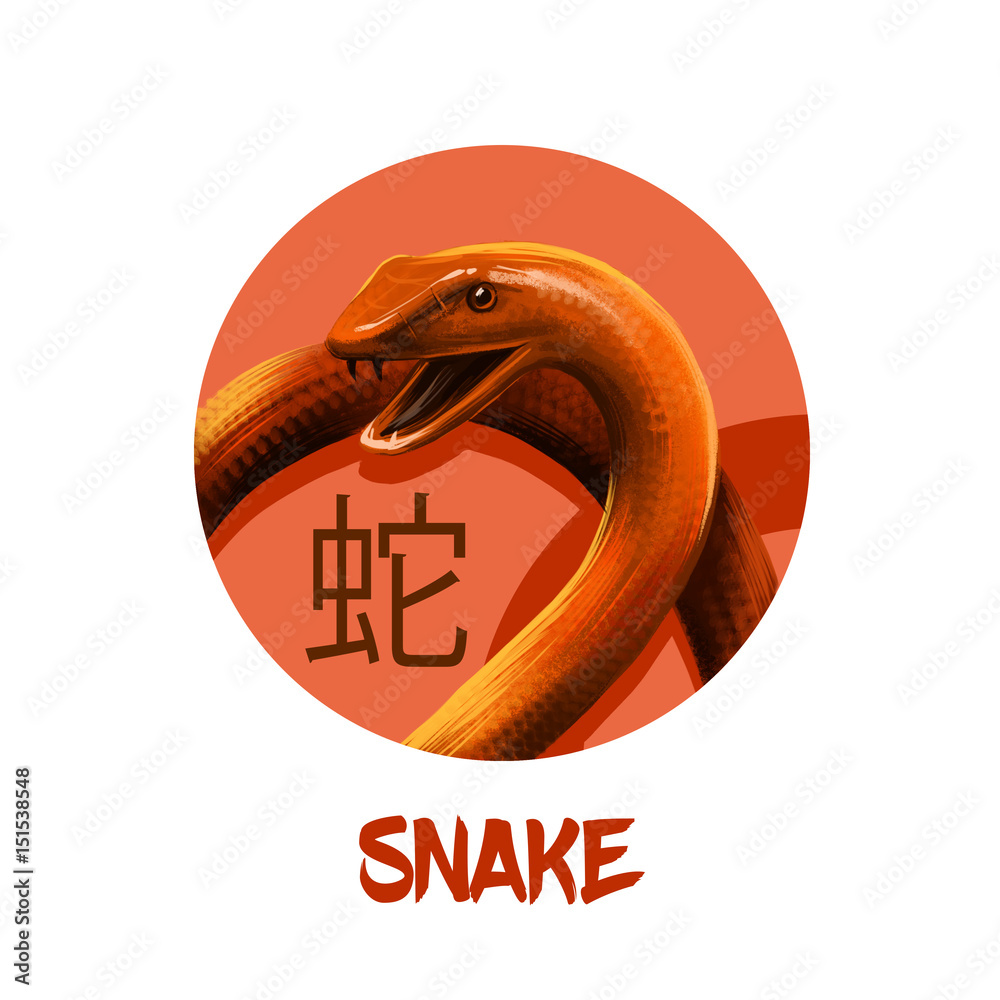 Какой цвет змеи 2025. Год змеи 2025. Год 2025 змея. Змея символ года 2025. Змеи -символ 2025 года.