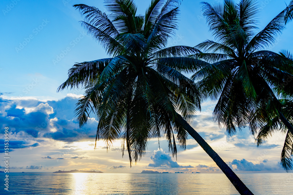 Palms on the tropical beach at sunset background