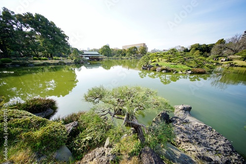 庭園の池