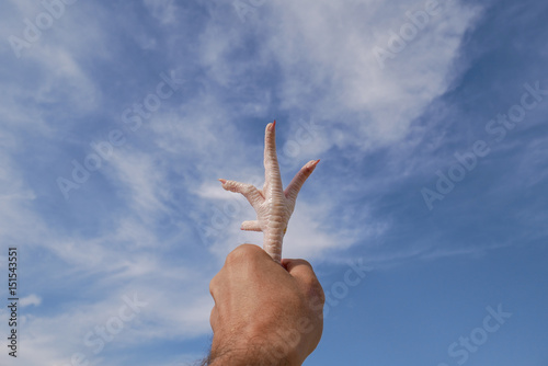 Closed fist and chicken foot with sky background, fingers pointing to the sky, unusual crucifix