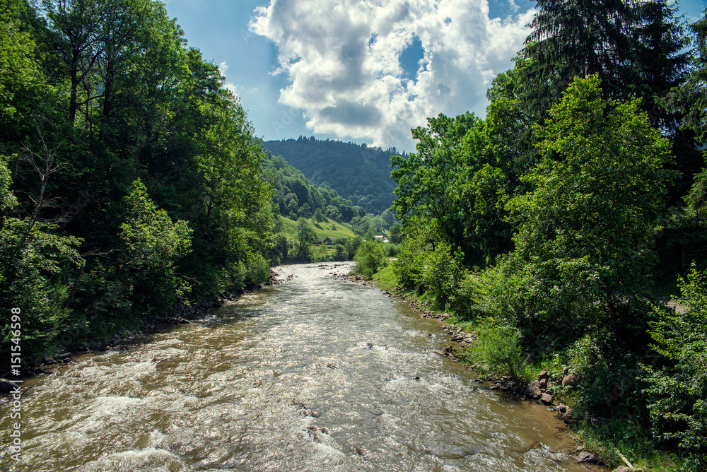 fast river in the mountains in summer fast river in the mountains in summer