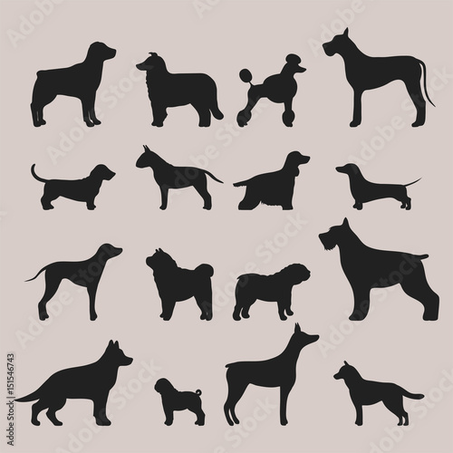 Funny cartoon dog character bread black silhouette in cartoon style vector illustration.