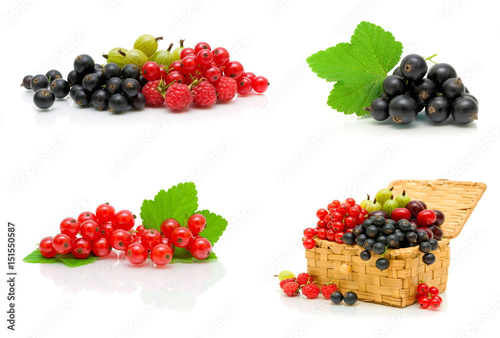 Ripe berries isolated on white background. Ripe berries isolated on white background.