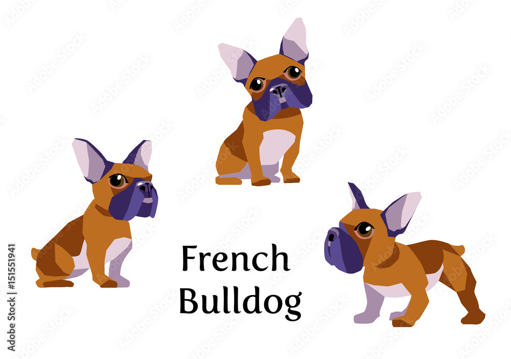 Vector illustration of French Bulldog in different poses isolated on white background.
Vector illustration of French Bulldog in different poses isolated on white background.