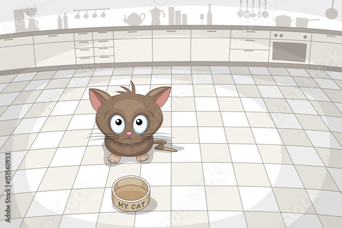 Little cat is waiting for food