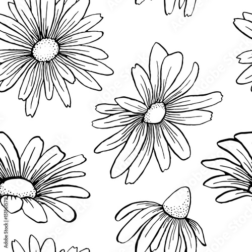 Vector vintage graphic camomile seamless pattern