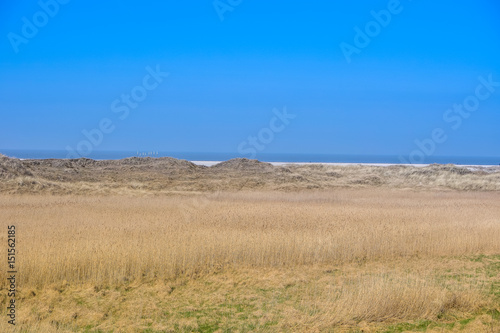 D  nenlandschaft am Meer