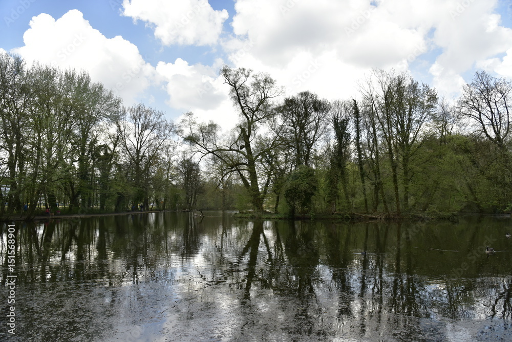Fototapeta premium L'étang du Parc des Sources en pleine nature sauvage sous un ciel sombre à Woluwe-St-Pierre