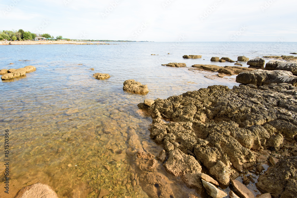 Sea shore of the Adriatic Sea in Croatia, Europe Sea shore of the Adriatic Sea in Croatia, Europe