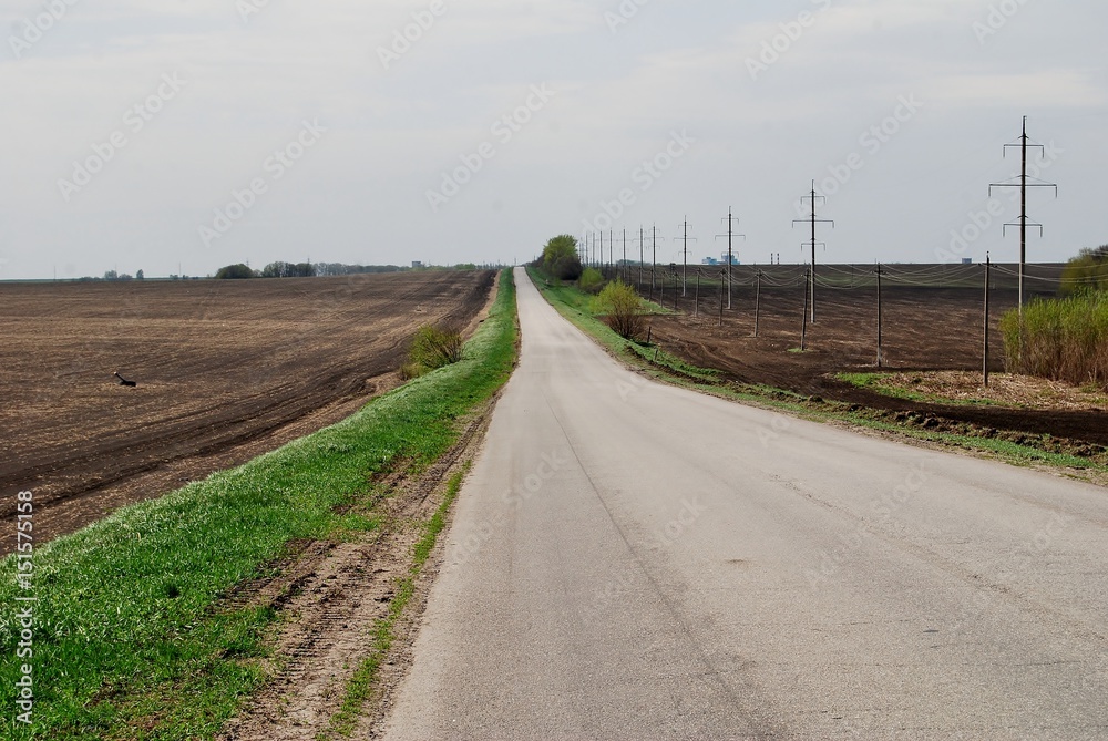 Road between fields